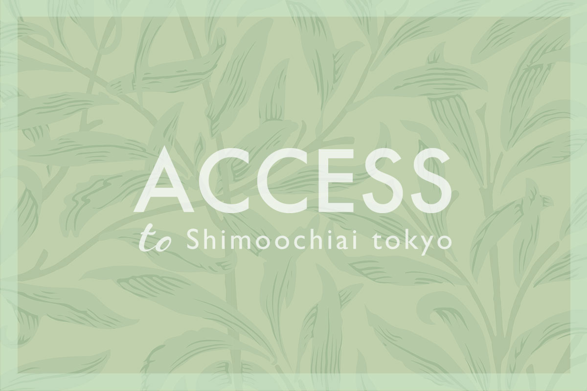 作家作品　蛍 23. ホタル/ Firefly 見るのは好きだけど触れない( ;´・ω